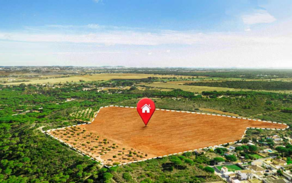 Chandragiri Blue Lotus Residential Plots Hyderabad