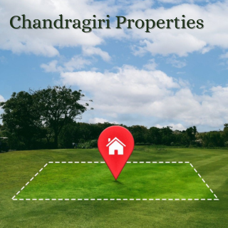 Chandragiri Properties Developer Logo